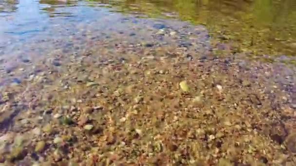 Acqua Limpida Fiume Montagna — Video Stock