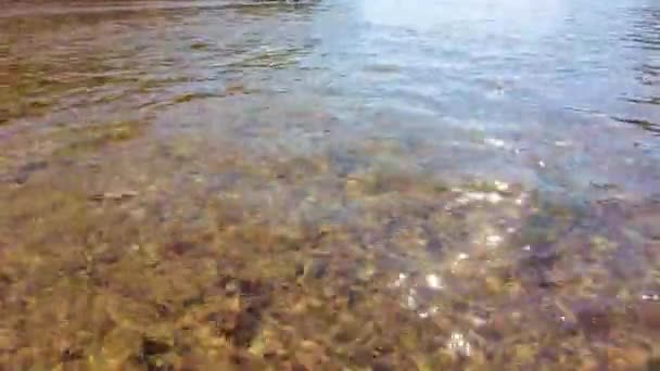 Чистая Вода Горной Реки — стоковое видео