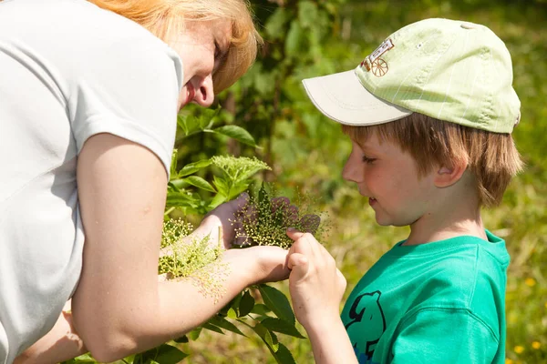 Mother Son Studying Flower — Stock Photo, Image