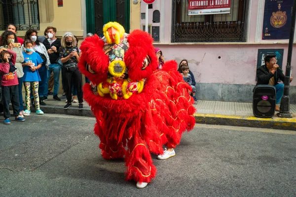 Fevereiro 2022 Buenos Aires Argentina Participantes Vestidos Leões Festivos Ano — Fotografia de Stock