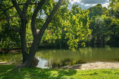Yaz parkında göl. Arkaplan