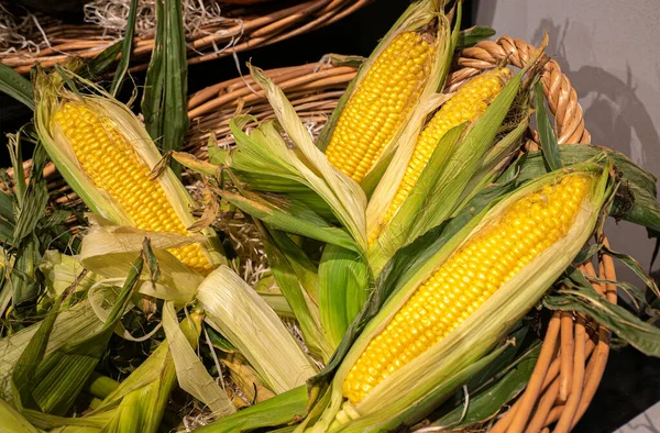 Mais Auf Dem Maiskolben Einem Korb Aus Nächster Nähe — Stockfoto