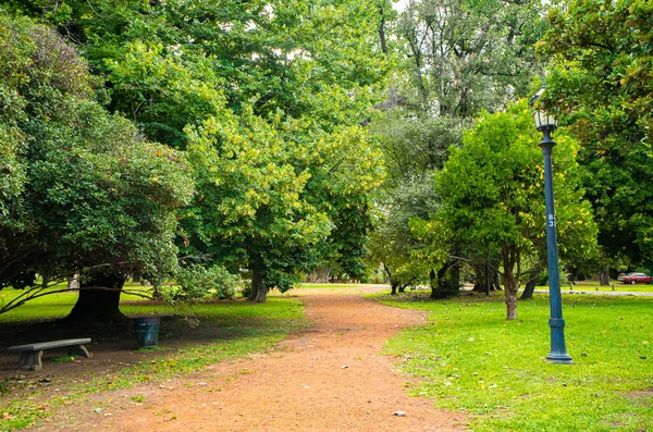 Sfondo Del Parco Verde Estivo — Foto Stock