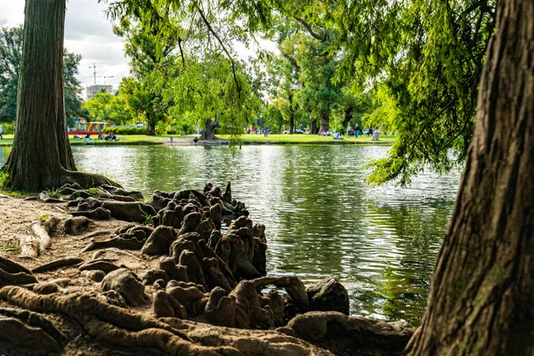 Yaz Parkında Göl Arkaplan — Stok fotoğraf