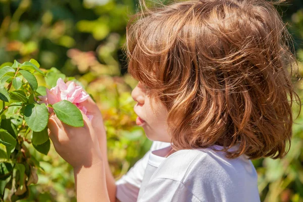 Κοριτσάκι Που Κρατάει Ένα Τριαντάφυλλο Στο Πάρκο — Φωτογραφία Αρχείου