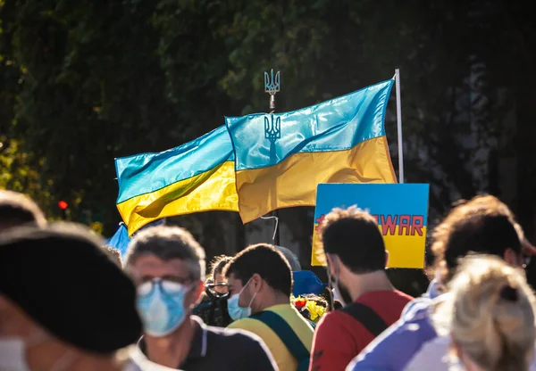 6 Mart 2022 Buenos Aires Arjantin: Rusya 'nın Buenos Aires' teki saldırısı sırasında Ukrayna 'ya destek yürüyüşü bayrakları