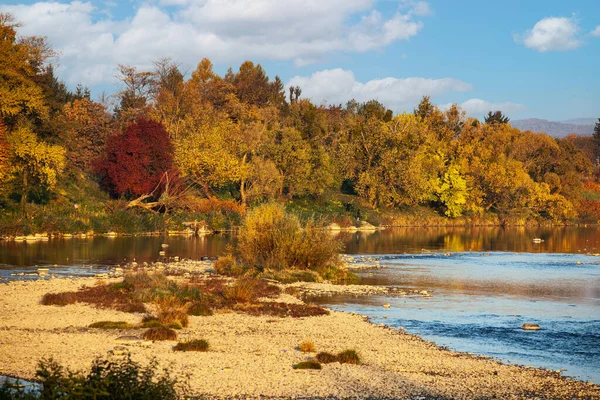 Imagen Árboles Otoñales Sobre Río — Foto de Stock