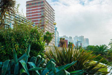 Mar del Plata, Arjantin, 09.04.2022: Atlantik Okyanusu kıyılarına set