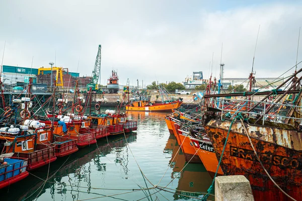 Mar Del Plata Αργεντινή 2022 Αλιευτικό Λιμάνι Στη Μαρ Ντελ — Φωτογραφία Αρχείου