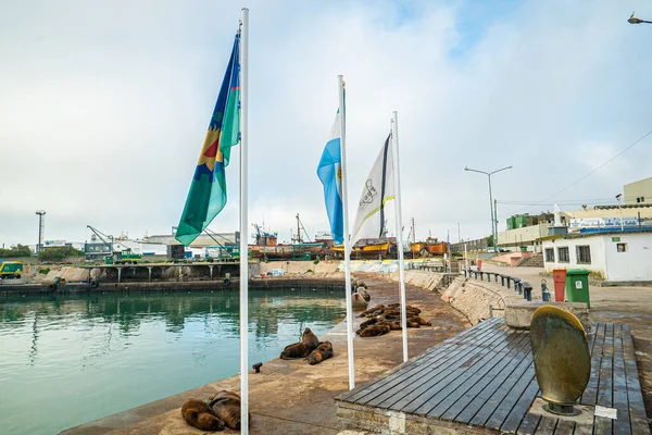 Mar Del Plata Argentinien 2022 Fischereihafen Mar Del Plata Argentinien — Stockfoto