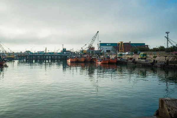 Mar Del Plata Argentina 2022 Fishing Port Mar Del Plata — Stock Photo, Image