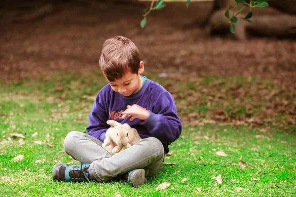 Menino Hispânico Com Coelho Parque — Fotografia de Stock