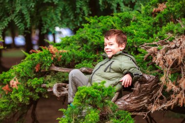 Parkta ağaçta oturan İspanyol bir çocuğun portresi.
