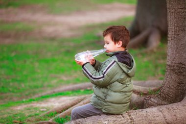 Parkta ağaçta oturan İspanyol bir çocuğun portresi.