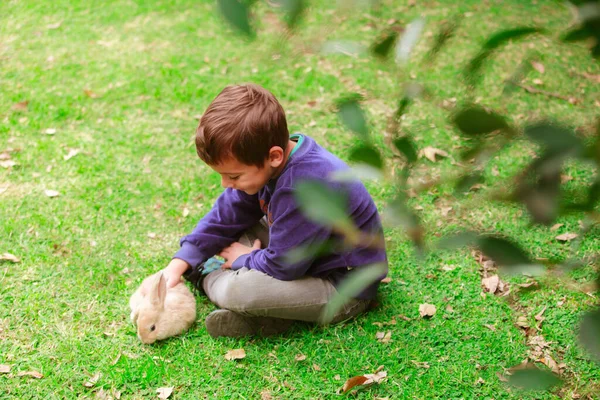 Garçon Hispanique Avec Lapin Dans Parc — Photo