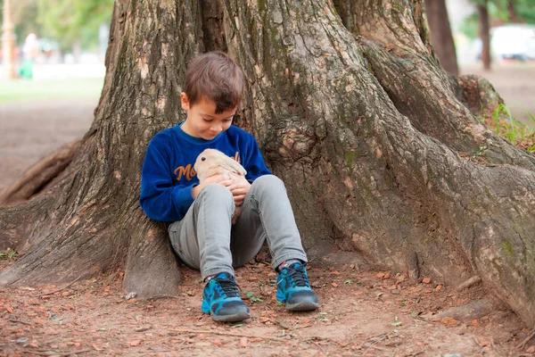 Garçon Hispanique Avec Lapin Dans Parc — Photo