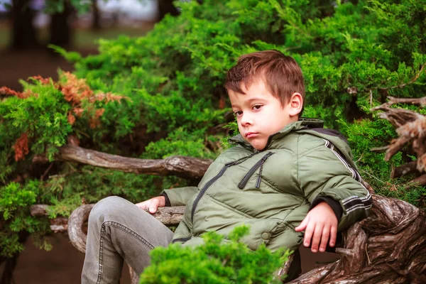 Porträt Eines Spanischen Jungen Park Der Auf Einem Baum Sitzt — Stockfoto