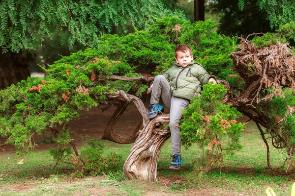 Retrato Niño Español Parque Sentado Árbol —  Fotos de Stock