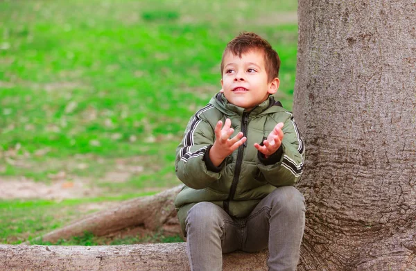 公園の木の上に座っているスペイン人の少年の肖像画 — ストック写真