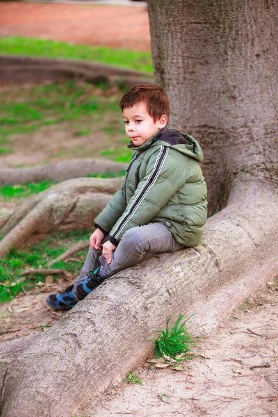 Retrato Menino Espanhol Parque Sentado Uma Árvore — Fotografia de Stock
