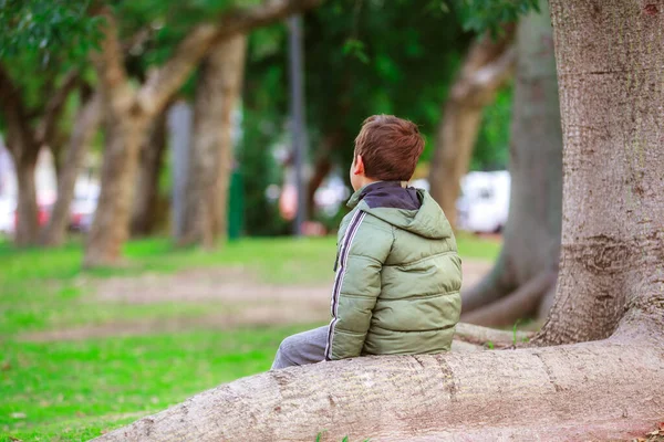 公園の木の上に座っているスペイン人の少年の肖像画 — ストック写真