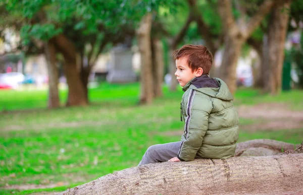 Retrato Niño Español Parque Sentado Árbol —  Fotos de Stock