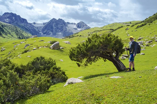 Resor och turism — Stockfoto