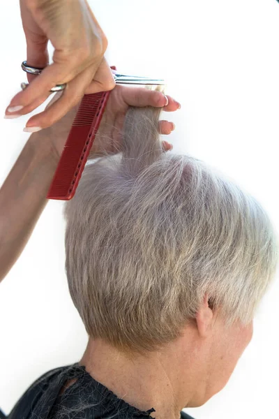 女性の手ははさみを保持し 理髪店で白い背景に髪をカット — ストック写真