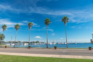 Deniz kenarı ve yat limanı. St. Petersburg Florida 'da mavi gökyüzü güneşli bir yaz günü.