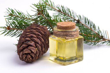 Beyaz arka planda bir şişe kozalaklı yağ ve dallar, yakın plan görünüm