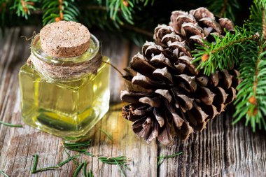 Ahşap masa üzerinde çam ağacı dalları ve konileri olan çam yağı şişesi.