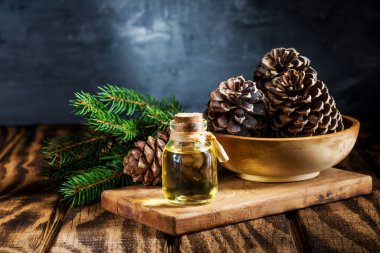 bottle of spruce fragrant oil, cones and young branches close-up