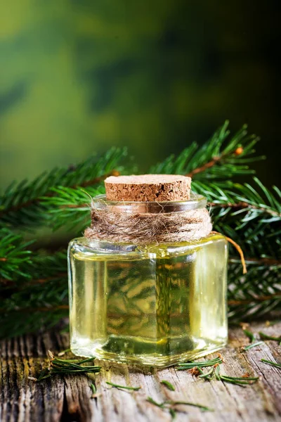 Bottle Aromatic Oil Spruce Young Branches Close — 图库照片