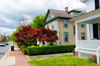  house with Japanese maple on the street of old Leesburg.