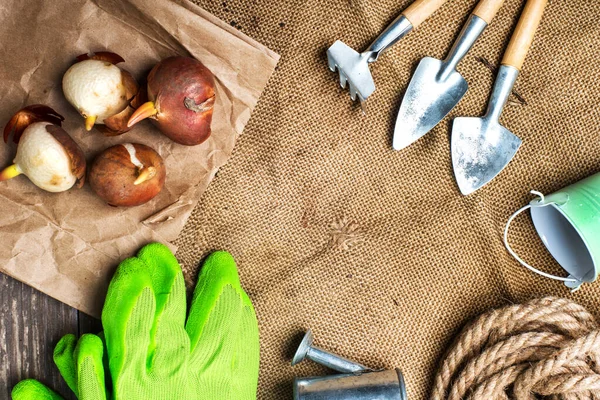 Herramientas Jardín Bulbos Listos Para Plantar Están Arpillera Espacio Copia —  Fotos de Stock