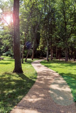 Ormanda güneşli bir yol, Yeşil Park 'ta yaz günü.
