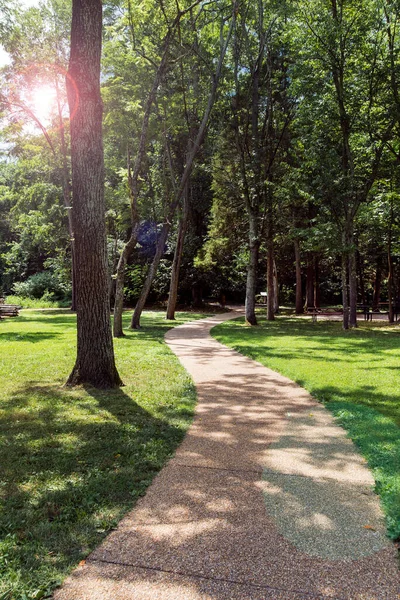 Ormanda güneşli bir yol, Yeşil Park 'ta yaz günü.