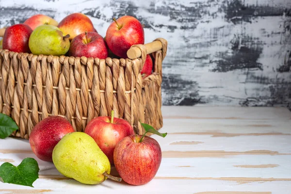 Pêras Maçãs Uma Cesta Vime Nova Colheita Com Frutas Frescas — Fotografia de Stock