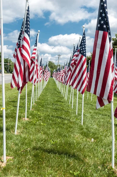 American Flags Displaying Memorial Day Patriotic American Flag Nature — Stock Photo, Image