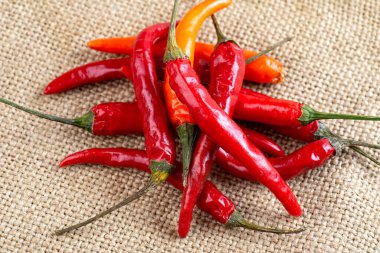 Çuval bezinde kırmızı kırmızı kırmızı biber kapsülleri. Metin için boşluk.