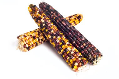 Beyaz arkaplanda üç renkli kurutulmuş mısır var..
