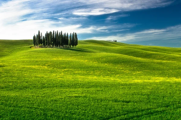 Toscana - Italia — Fotografie, imagine de stoc