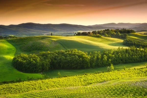 Toscana - Italia — Foto de Stock