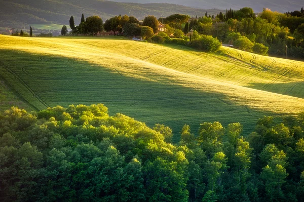 Toscana - Italia — Foto Stock