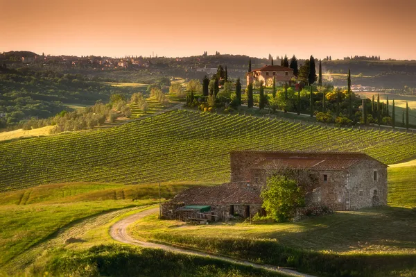 Tuscany - Italy — Stock Photo, Image