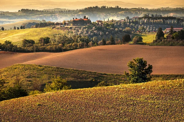 Toscana - Italia —  Fotos de Stock