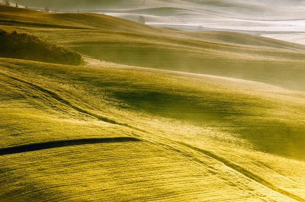 Tuscany - Italy — Stock Photo, Image