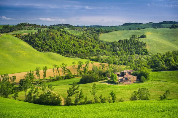 Paisaje en Toscana Italia — Foto de Stock