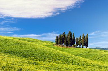 Toskana - İtalya