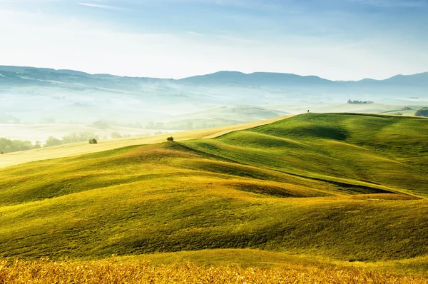 Paisaje típico toscano en Italia — Foto de Stock